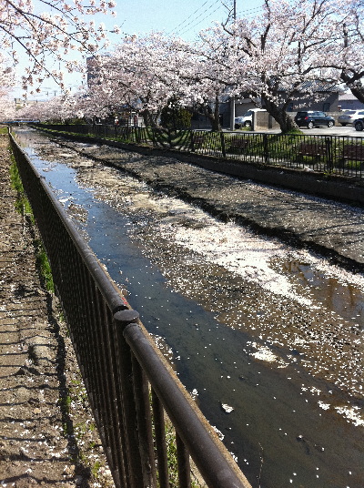 水郷町付近